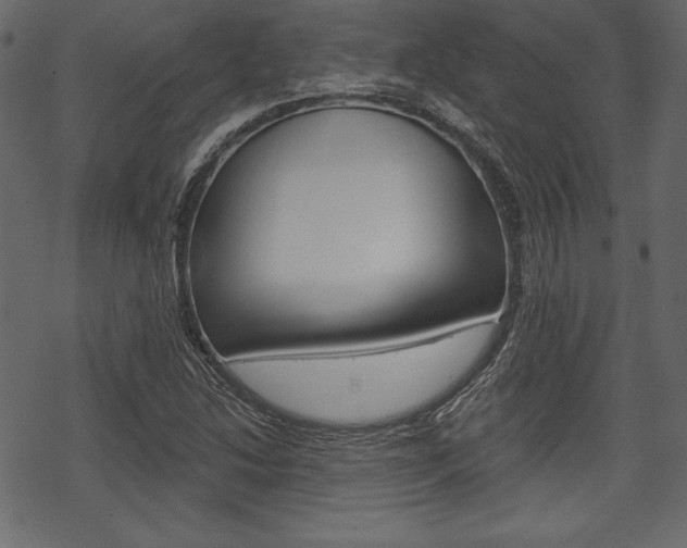 X0000070221214200605261028