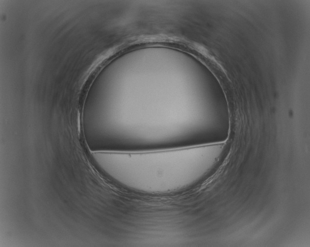 X0000070221221200605261028