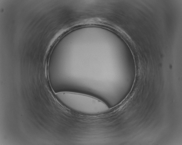 X0000070221224200605261028