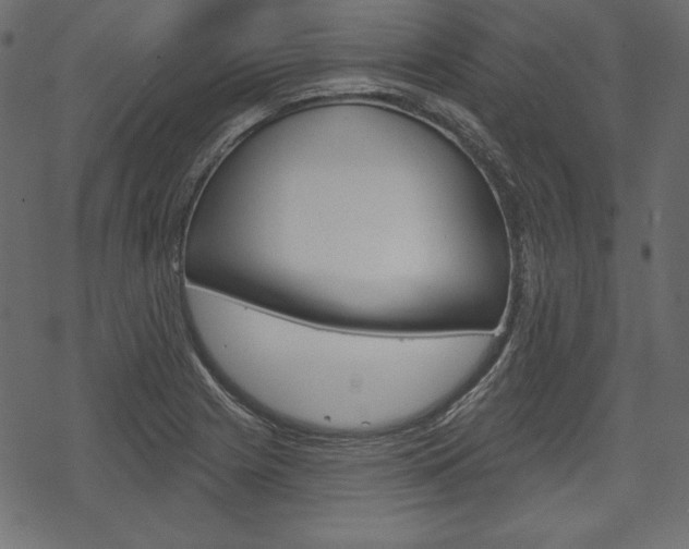 X0000070221225200605261028