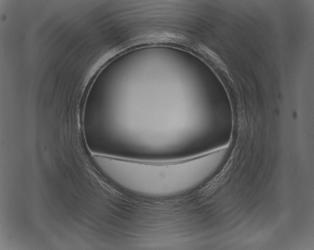 X0000070221226200605261028