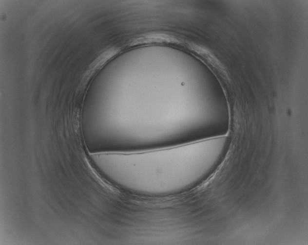 X0000070221233200605261029