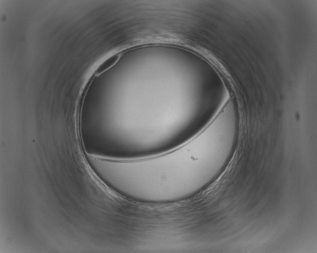 X0000070221246200605261029