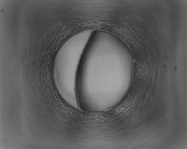 X0000070221249200605261028