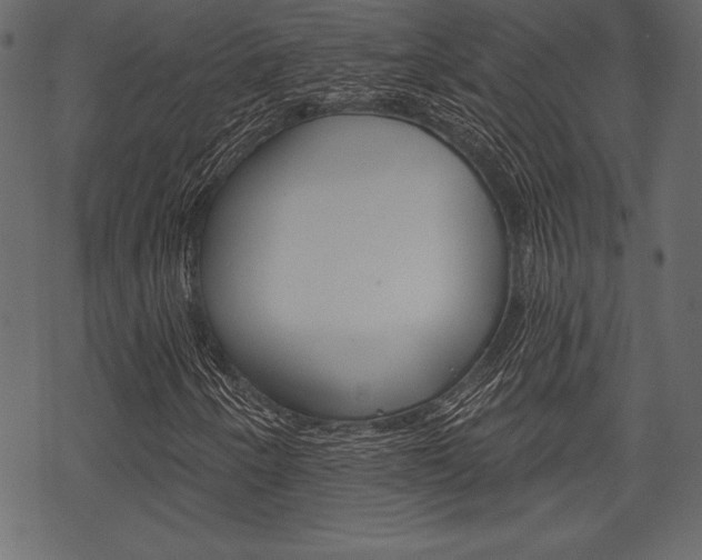X0000070221250200605261028