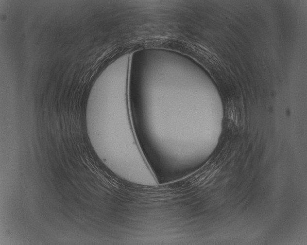 X0000070221252200605261028