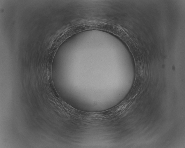X0000070221253200605261028