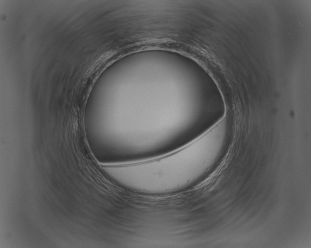 X0000070221257200605261028