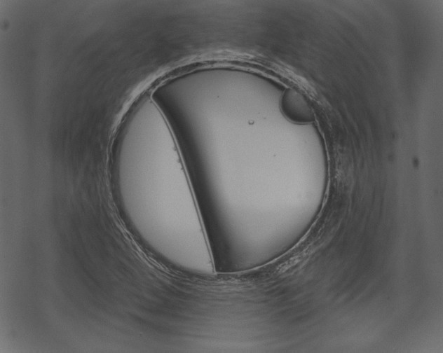 X0000070221264200605261028