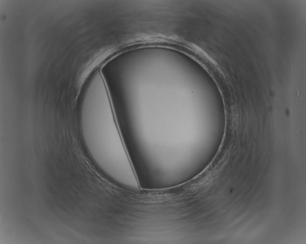 X0000070221269200605261028