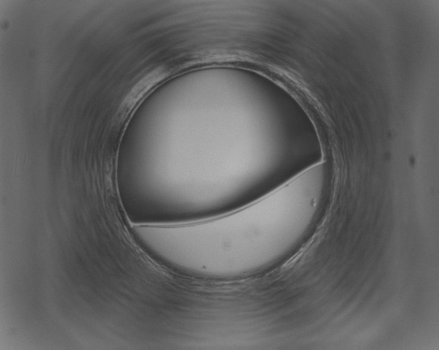 X0000070221273200605261028
