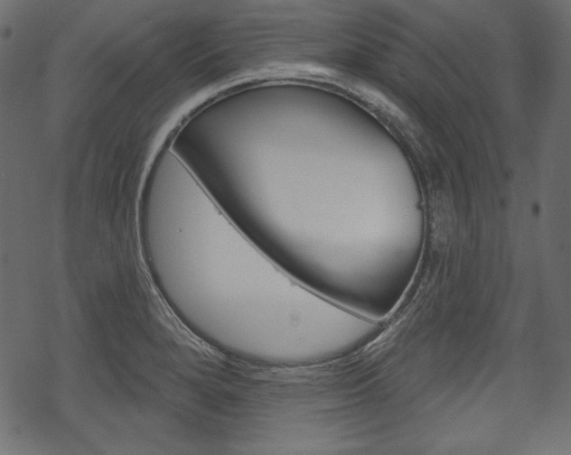 X0000070221280200605261028