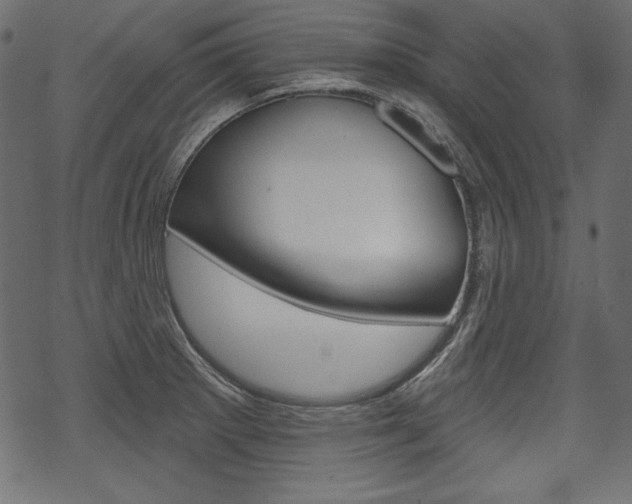 X0000070221281200605261028