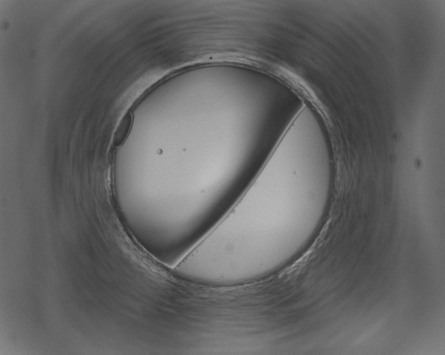 X0000070221284200605261028