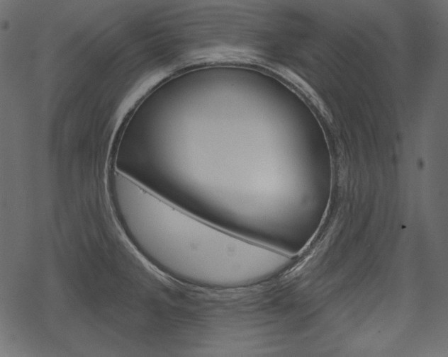 X0000070221285200605261027