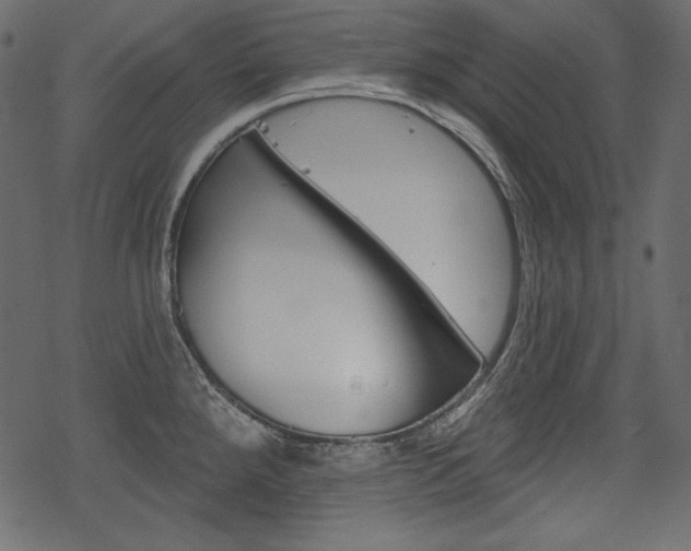 X0000070221288200605261027