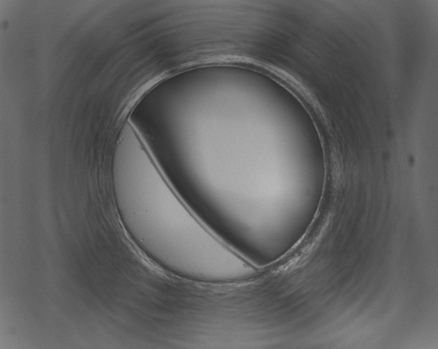 X0000070221289200605261027