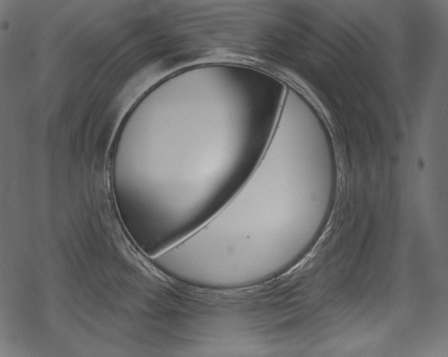 X0000070221292200605261027