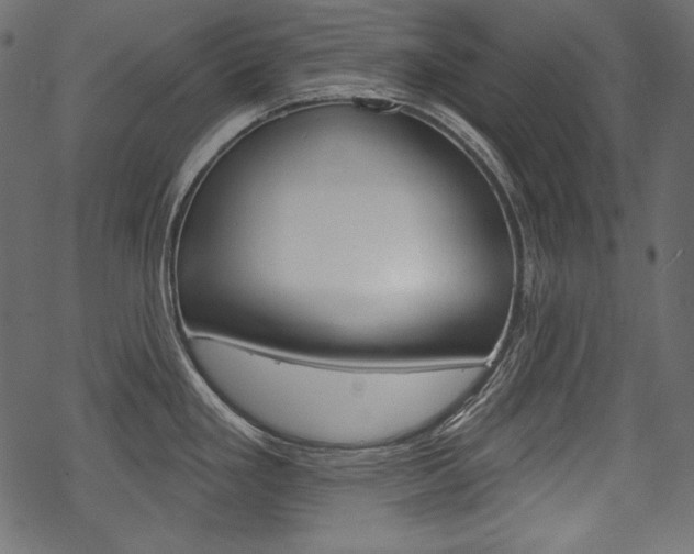 X0000070221293200605261027