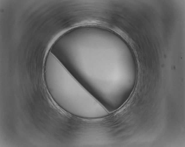 X0000070221296200605261027