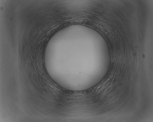 X0000070221297200605261027