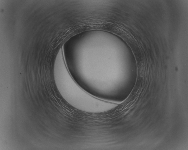X0000070221298200605261027