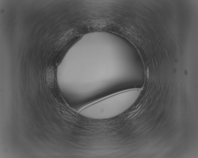 X0000070221299200605261027