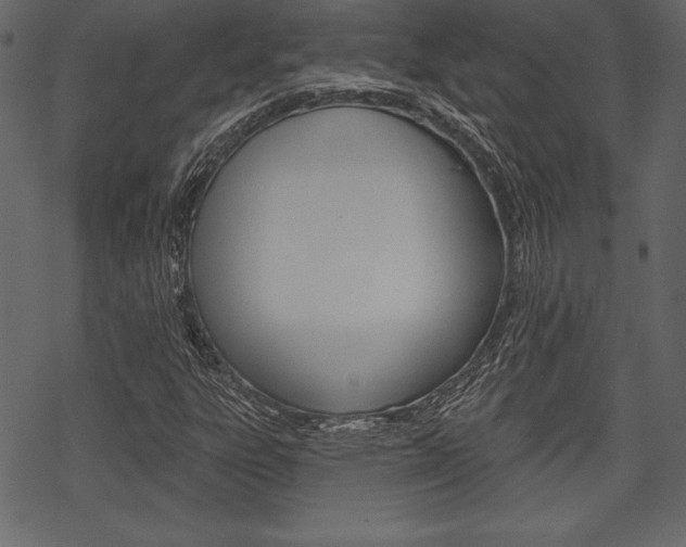 X0000070221303200605261027