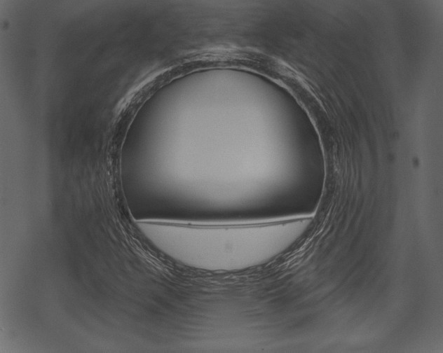 X0000070221304200605261027