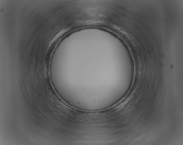 X0000070221306200605261027