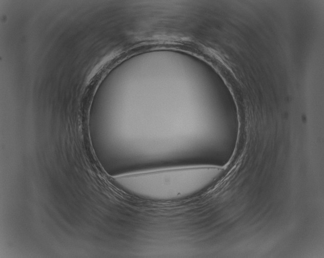 X0000070221307200605261027