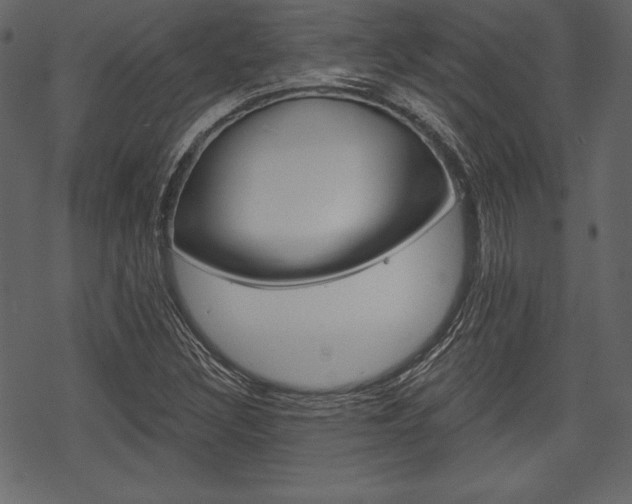 X0000070221308200605261027