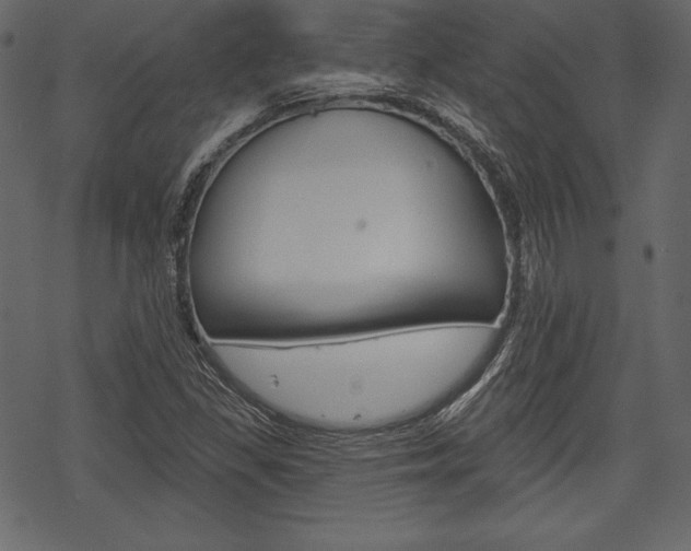 X0000070221309200605261027