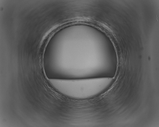 X0000070221310200605261027