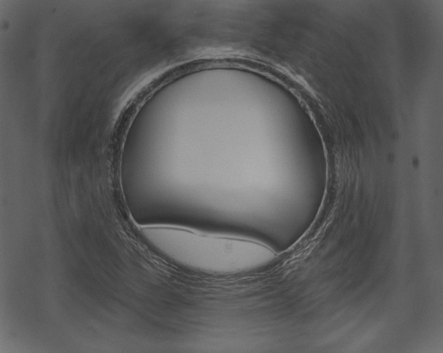 X0000070221311200605261027