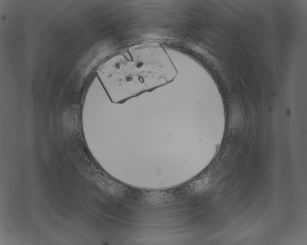 X0000070221314200605261027