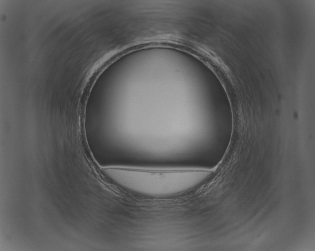 X0000070221316200605261027