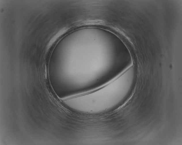X0000070221317200605261027