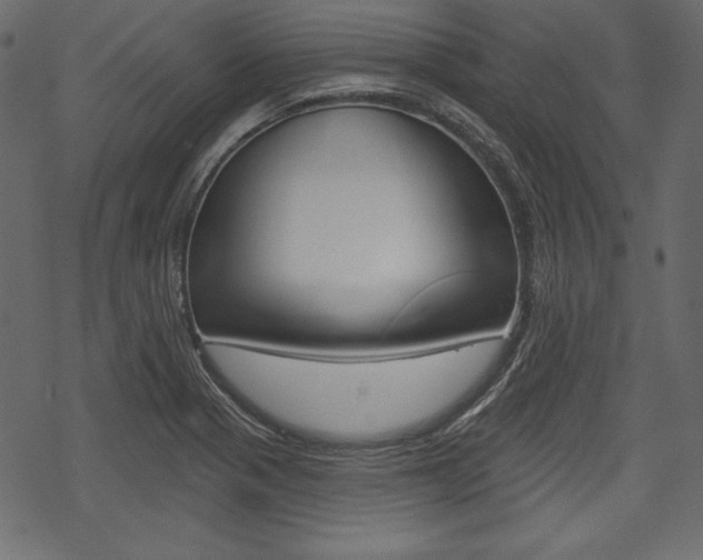 X0000070221321200605261027