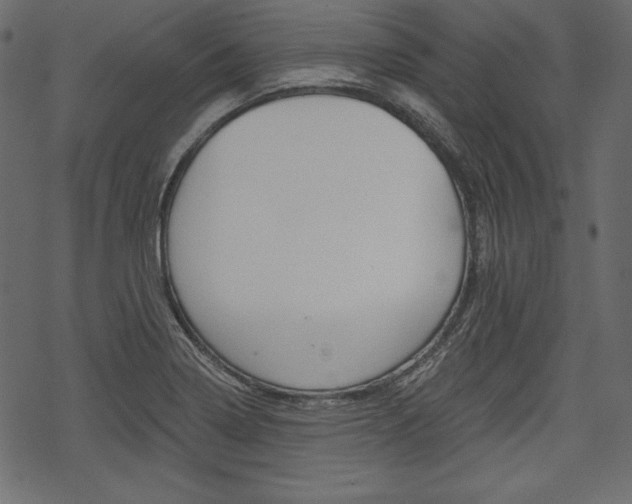 X0000070221322200605261027