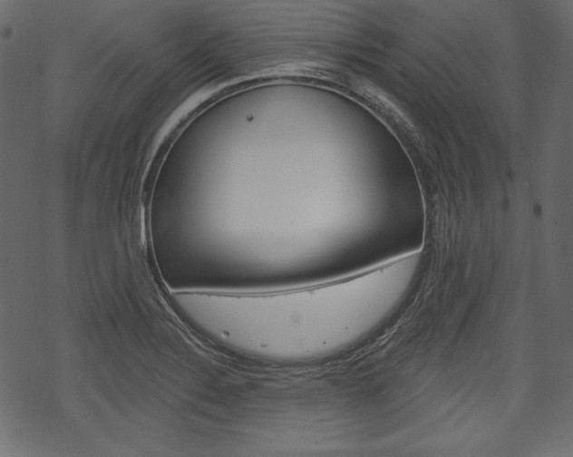 X0000070221324200605261027