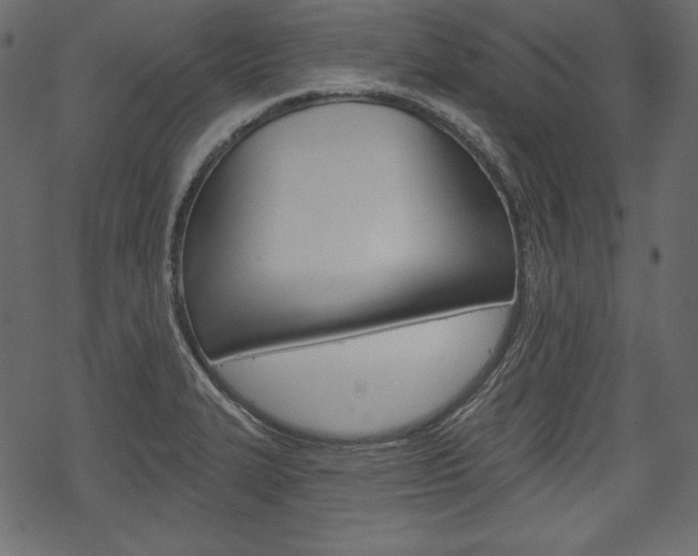 X0000070221327200605261027