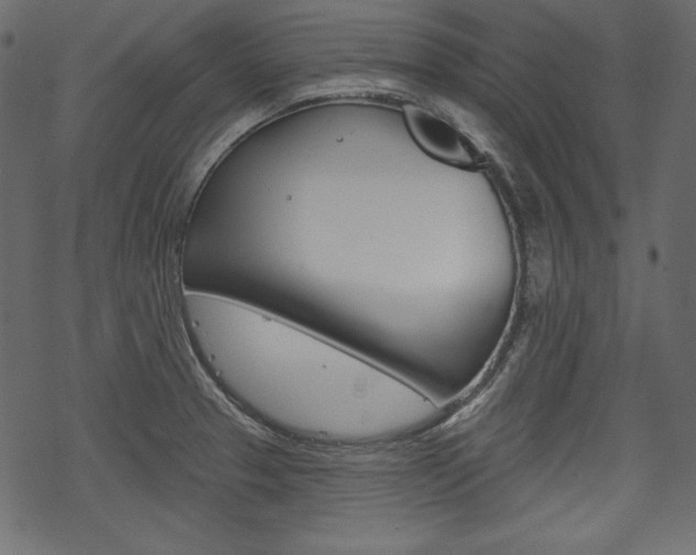 X0000070221329200605261027