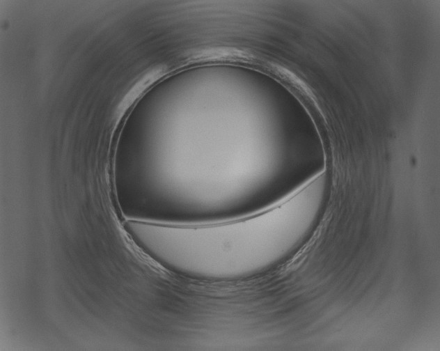 X0000070221330200605261027