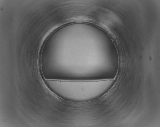 X0000070221331200605261027