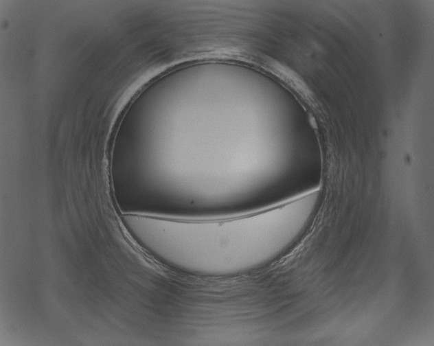 X0000070221332200605261027