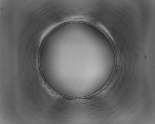 X0000070221336200605261027