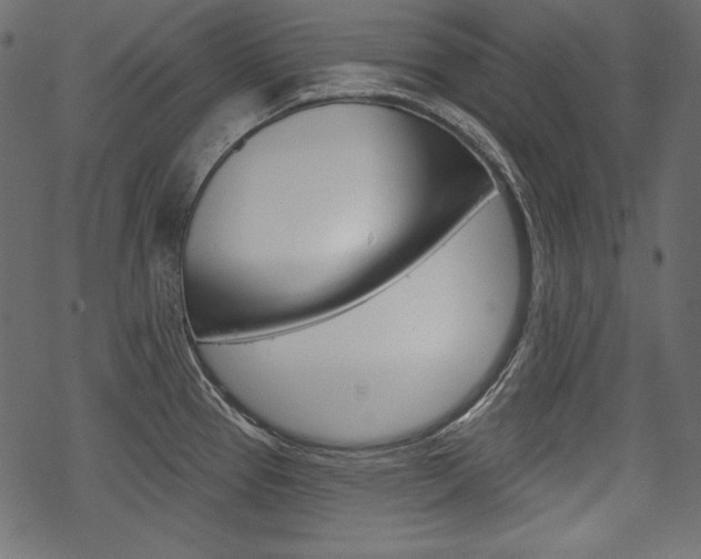 X0000070221337200605261027