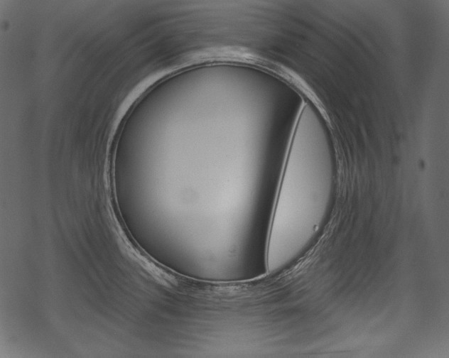 X0000070221339200605261027