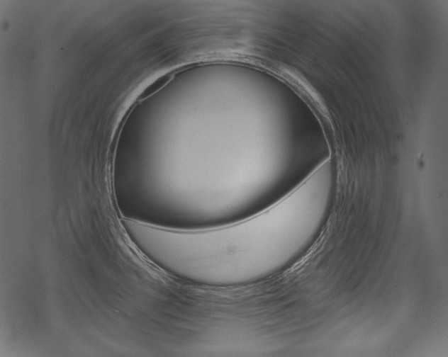 X0000070221340200605261027
